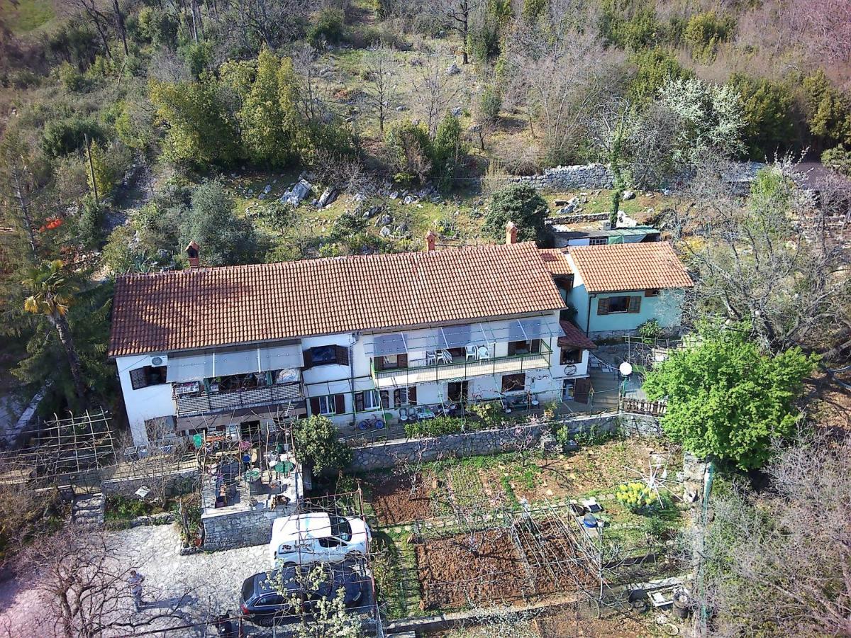 Apartments Zlatko Ičići Eksteriør billede